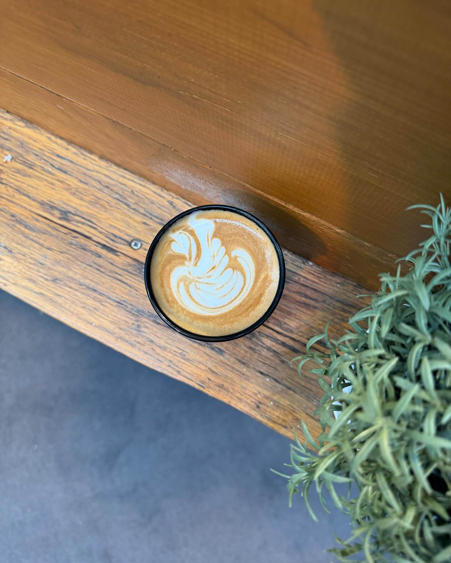 Barista_Company_KOPexpo_478612130_18380018911117120_6626978790571114023_n