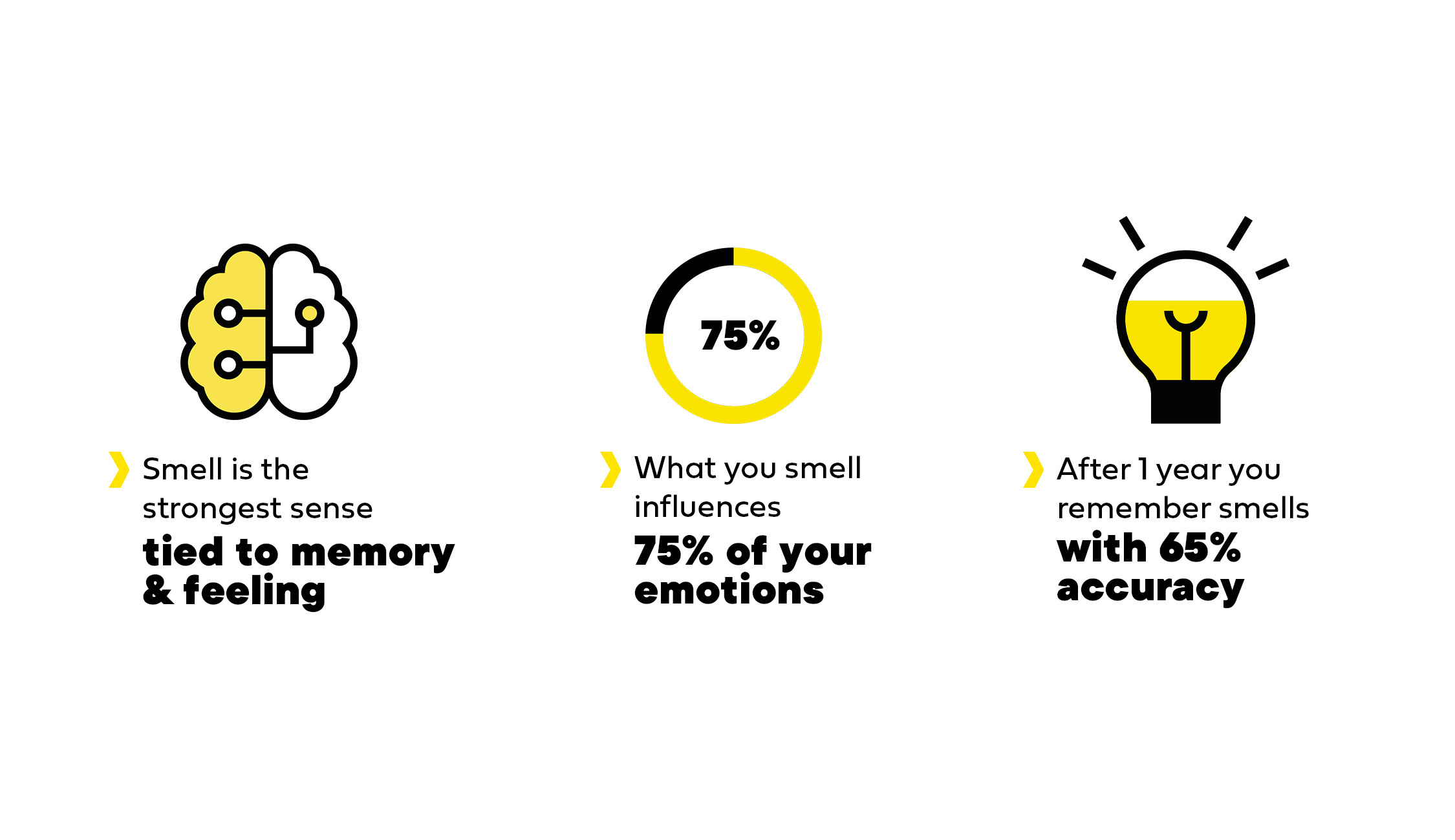 KOP - Info Geur EN-1