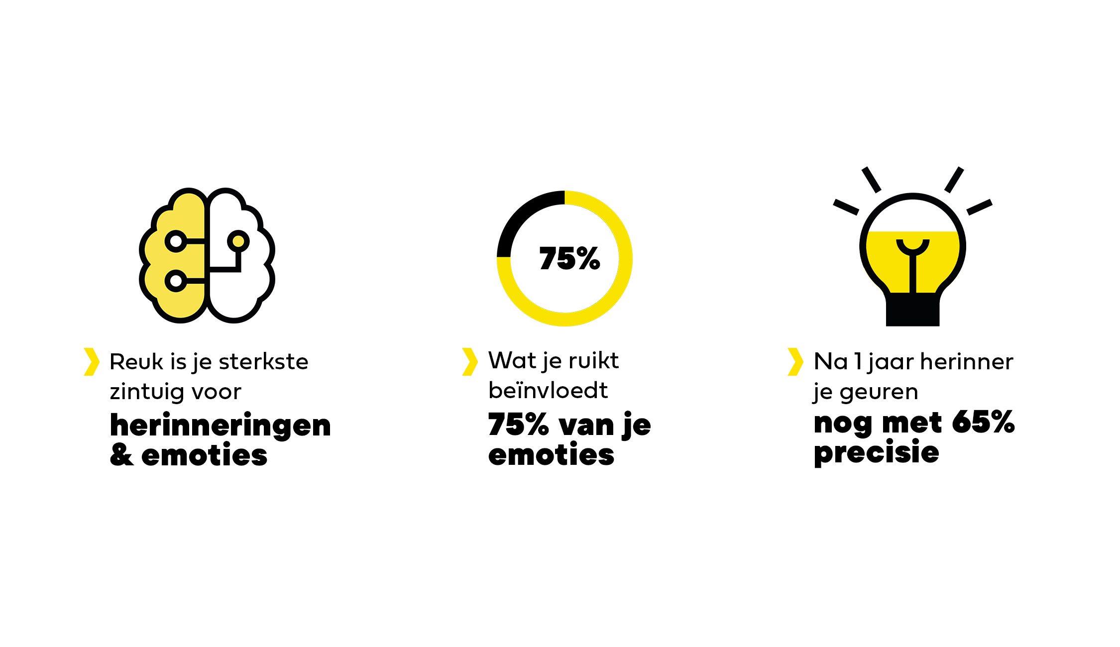 KOP - Info Geur NL-2